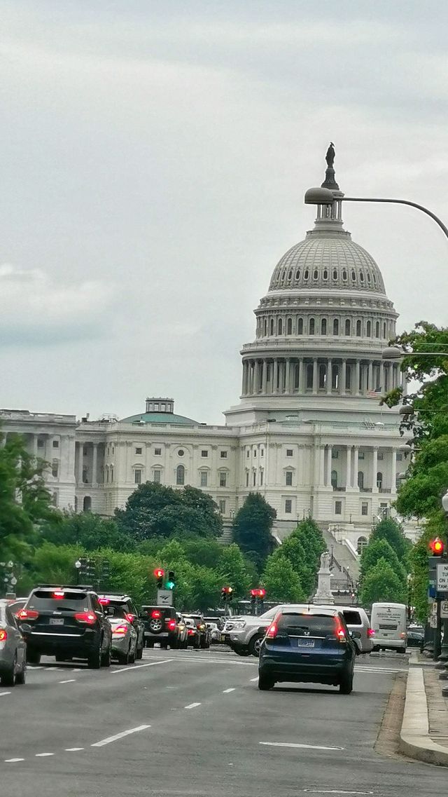 White House vs Capitol Hill, which one is more famous?