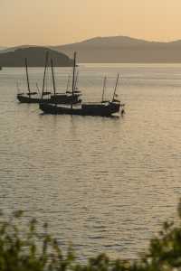 Fishing boats singing at dusk.