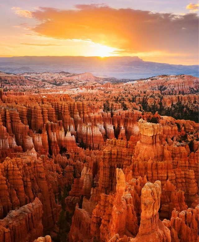 A national park in Bryce Canyon that will leave you speechless and wanting to go.