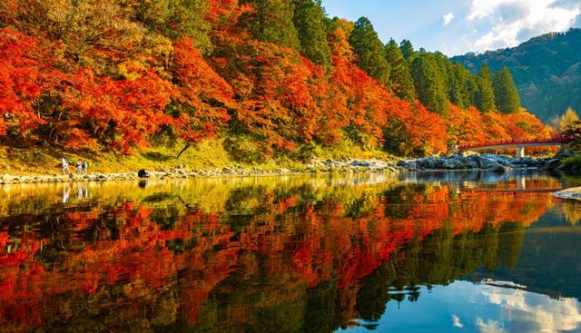 【2023日本紅葉】中部及北陸地區人氣賞楓景點推介：名古屋、金澤、福井、岐阜 | 名古屋