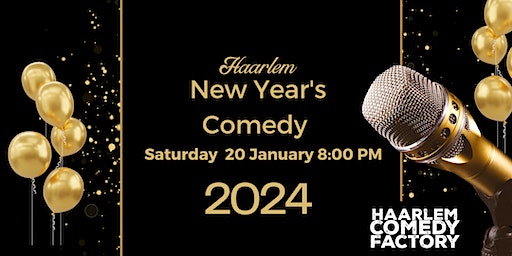 Haarlem New Year's Comedy | Hello I am Local