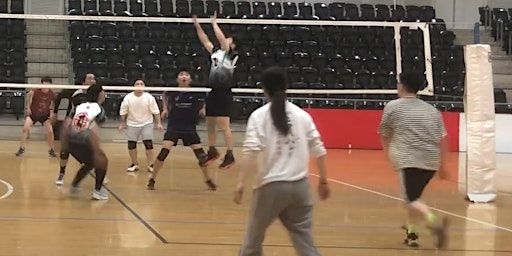 Sunday Volleyball - Intermediate and Advanced Training | North Ryde RSL