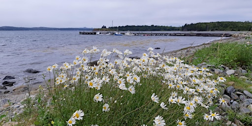 Discover McNabs Island:  Shoreline Tour -  July 6, 2025, 9:30 AM | McNabs and Lawlor Islands Provincial Park