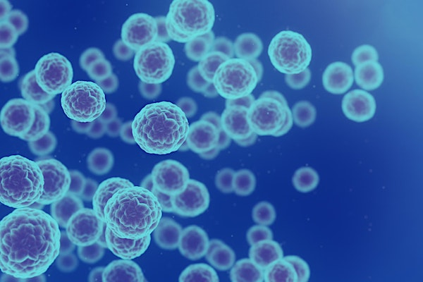 Head and Neck  Cancer Study Day | The Christie NHS Foundation Trust