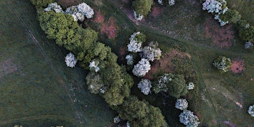 Spring Farm Walk 2026 | SY8 3AR