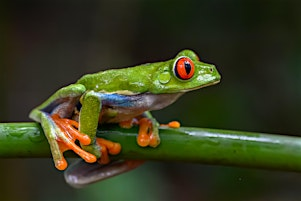 Wildlife Photography Exhibition & Talk | HD9 3AR