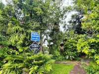 CERA GARDEN คาเฟ่ลับบรรยากาศป่าไม้ ชุมพร