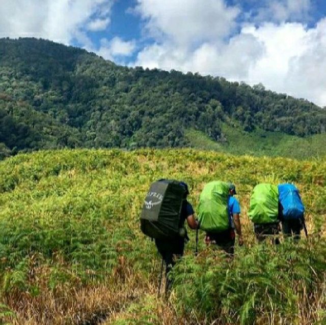 GUNUNG LEUSER