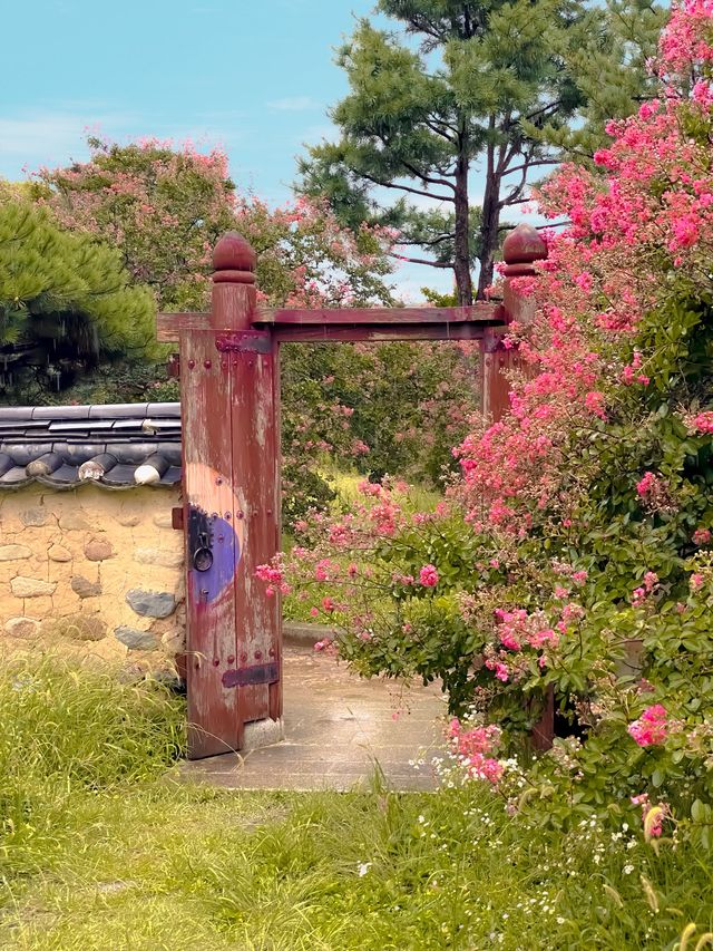 대구 신숭겸장군유적지: 배롱나무꽃의 향연