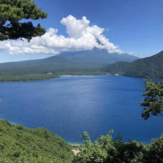 本栖湖  千円札の所です！