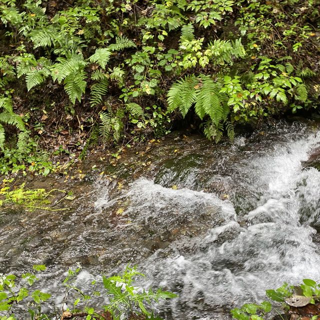 軽井沢 白糸の滝