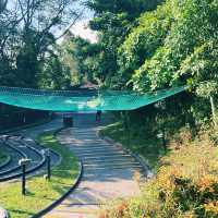 Skyline Luge Sentosa