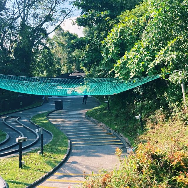 Skyline Luge Sentosa