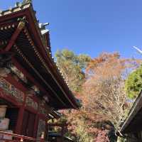秋は紅葉