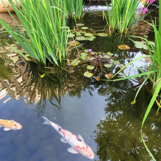 浪漫的屯門黃金海岸 