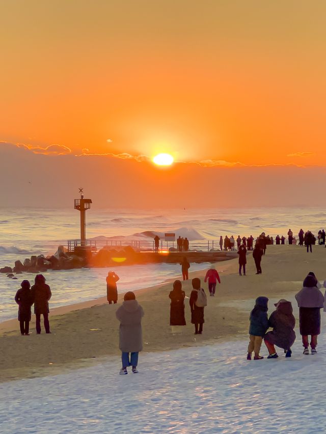 [강릉] 2021 마지막 해돋이명소 눈쌓인 강문해변🌊