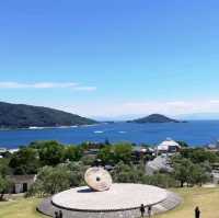 [小豆島]日本のオリーブ発祥の地✨小豆島の「オリーブ公園」