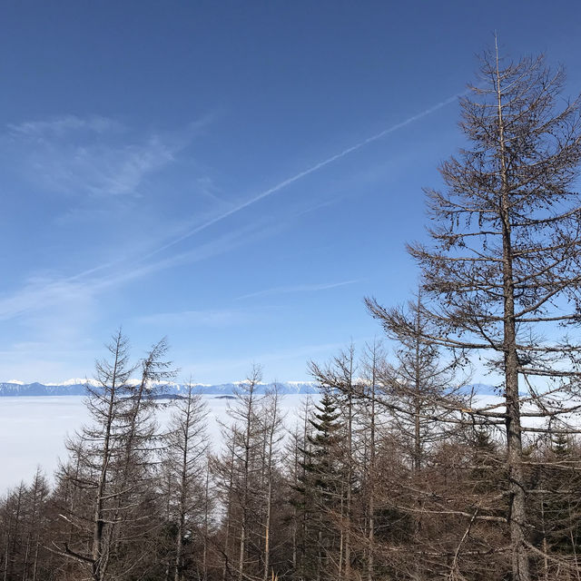 ［富士山四合目］- 在雲上起舞🗻