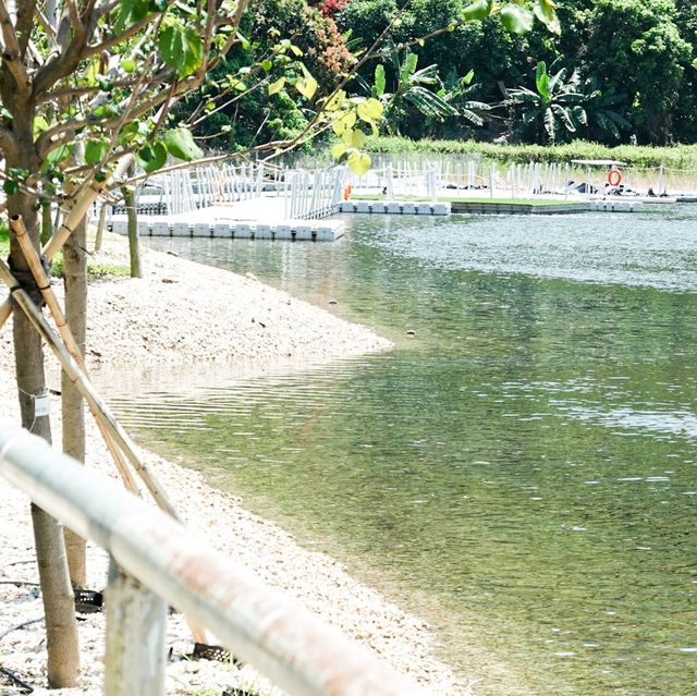 打卡位 小白鷺餐廳