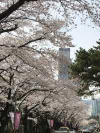 부산 해운대 달맞이길 걸어서 구경하기 