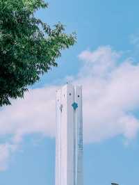 부산의 메타쉐콰이어 숲길 ‘송정 옛 길’