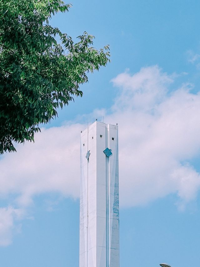 부산의 메타쉐콰이어 숲길 ‘송정 옛 길’