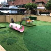 商場頂樓嘅寵物公園