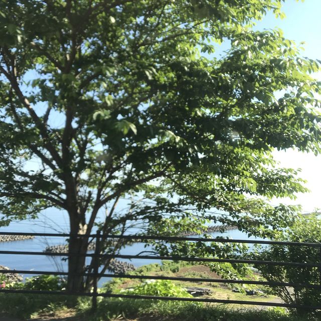 《日本-輪島市》堅持要去看的「梯田之美」