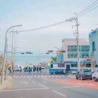 🚞 부산에서 바다를 보며 추억을 남길 수 있는 [청사포, 캡슐열차]