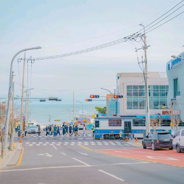 🚞 부산에서 바다를 보며 추억을 남길 수 있는 [청사포, 캡슐열차]