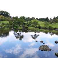 綠悠悠的公園🌳🌳🌳