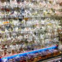 ［金魚街］- 🐠老少咸宜🐢😃