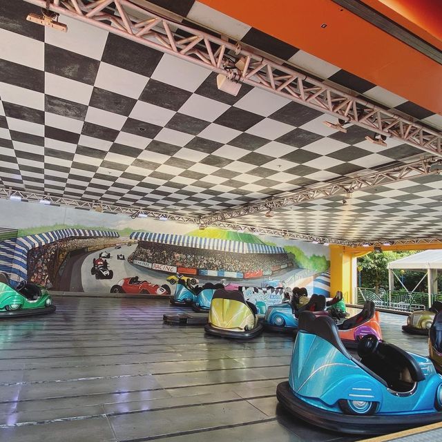 餵斑海豹🦭+32°C都值得等半個鐘既games😝