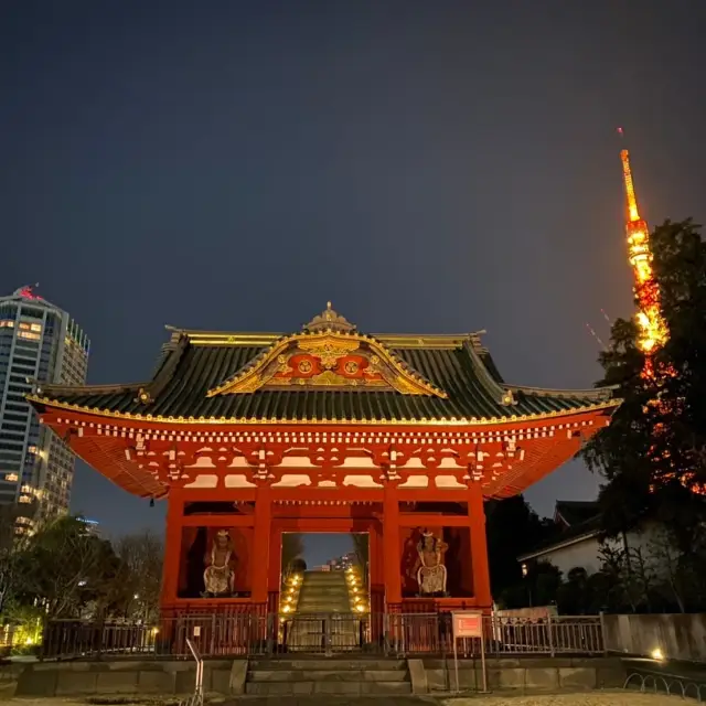 【東京】夜と朝の増上寺