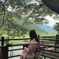 [경상남도 밀양] 자연에서 만나는 포토스팟🧡