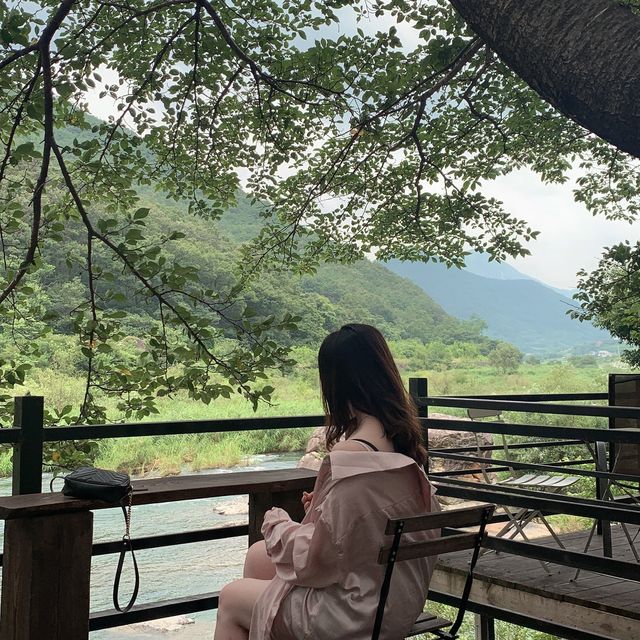 [경상남도 밀양] 자연에서 만나는 포토스팟🧡