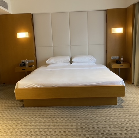 Grand Hyatt Singapore: 1 King Deluxe Room