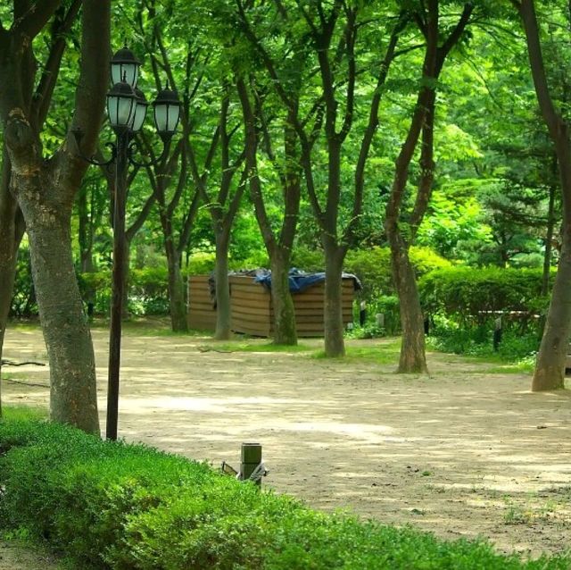 양주 캠핑장 추천 * 남경수목원캠핑장