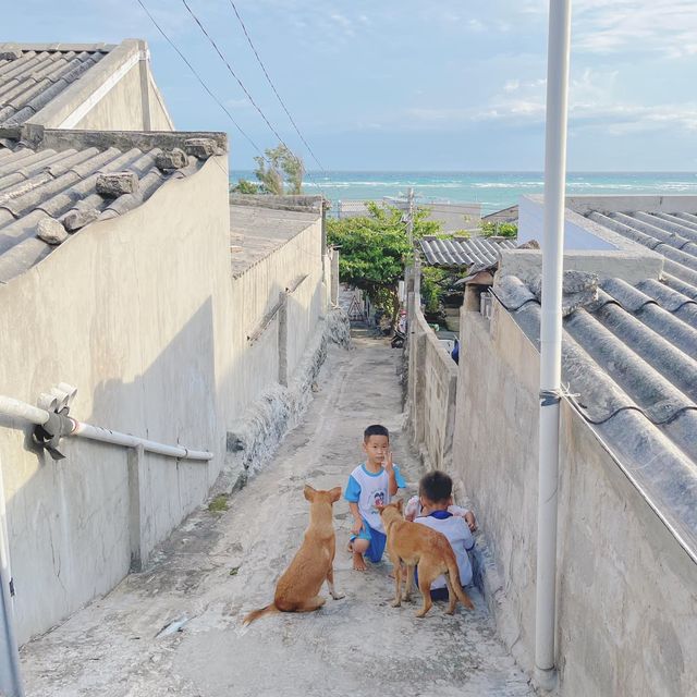 Beautiful healing trip in Phu Quy Island 