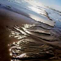 One of the Top 10 Beaches in Tasmania