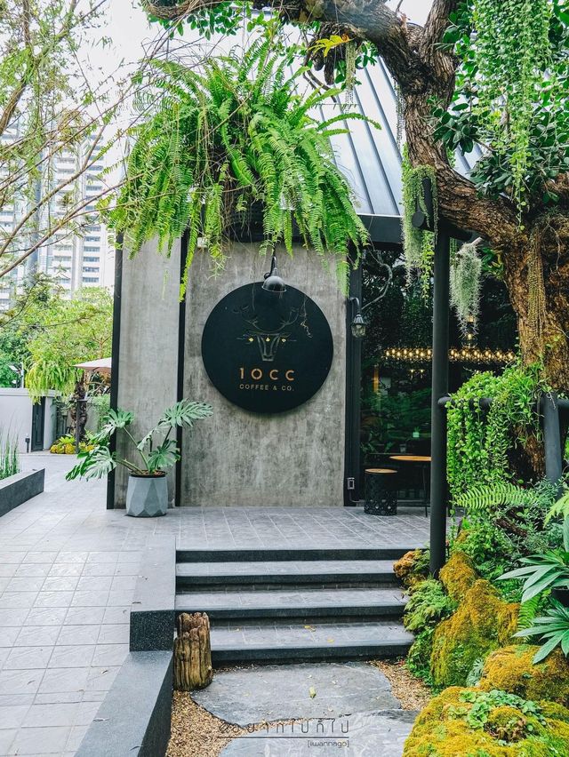 คาเฟ่โอเอซิสกลางเมือง🌿🌳