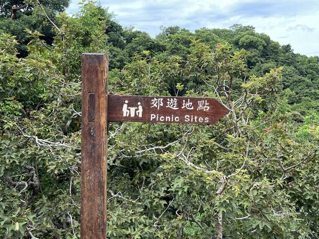 馬騮滿山的金山郊野公園