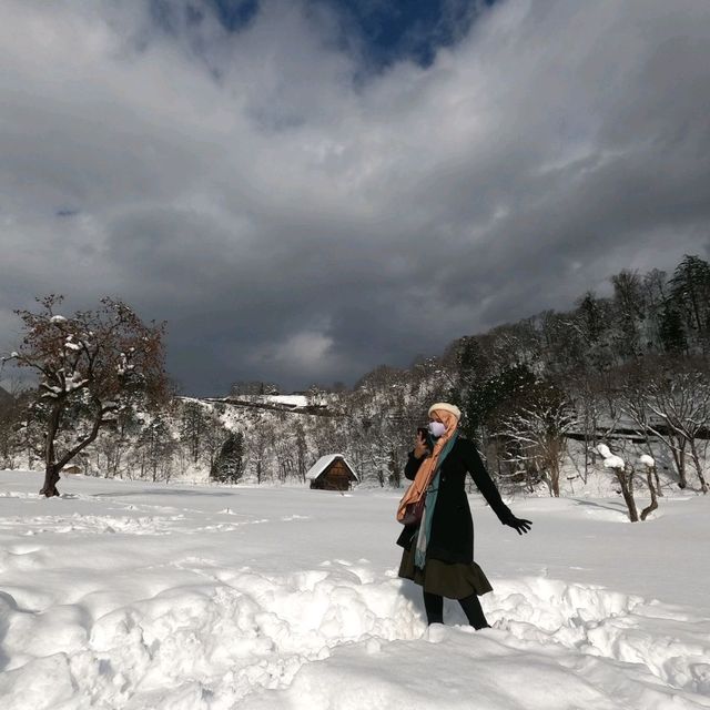 trip to snow areas In Japan within Aichiken 