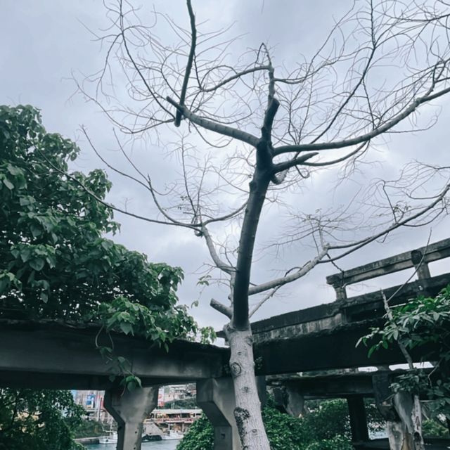 秋天阿根納，像電影一樣動人！