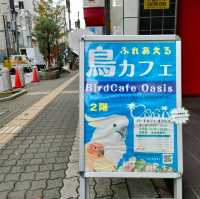 【大阪 東心斎橋】バードカフェで癒されちゃう🐦