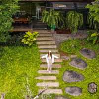 คาเฟ่ซ่อนตัวอยู่ท่ามกลางป่าเขาธรรมชาติ