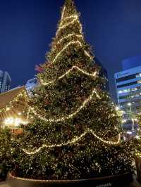 코엑스 별마당도서관 크리스마스🎄