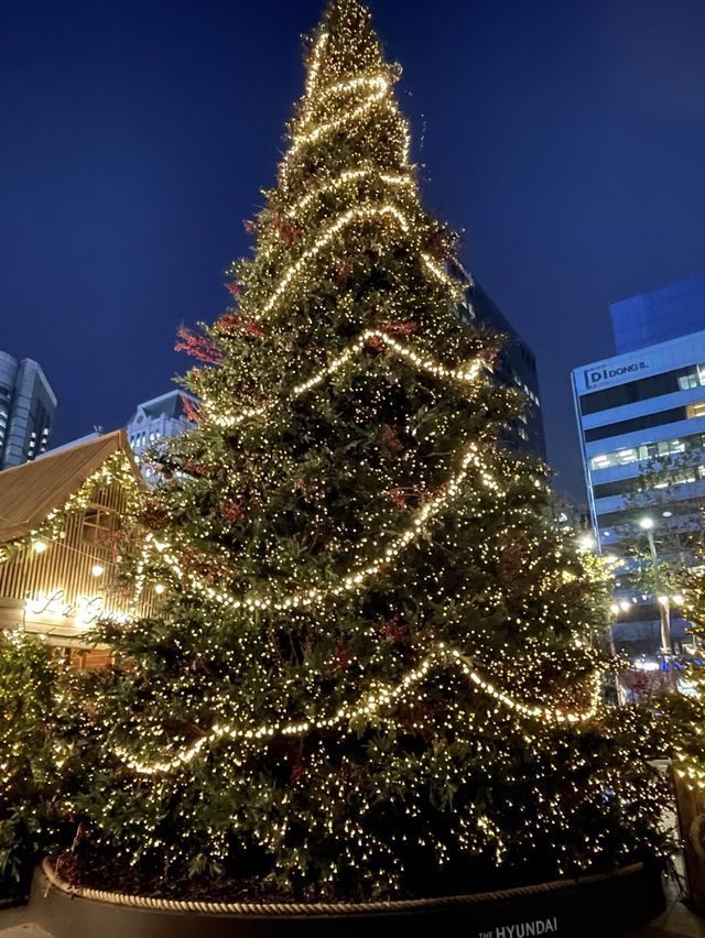 코엑스 별마당도서관 크리스마스🎄