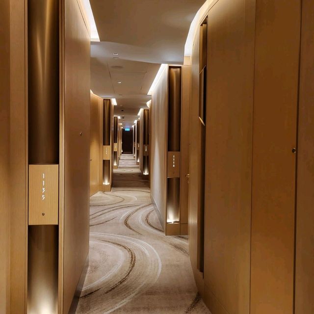 東涌地鐵站上蓋的五星級酒店