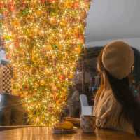 🎄이색적인 거꾸로 트리가 예쁜 연말에가기좋은 카페 [제주, 마마롱]